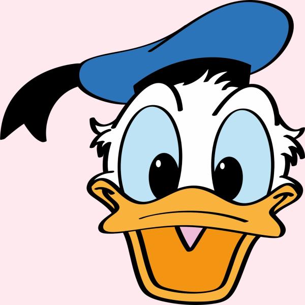 Donald Cara Frente