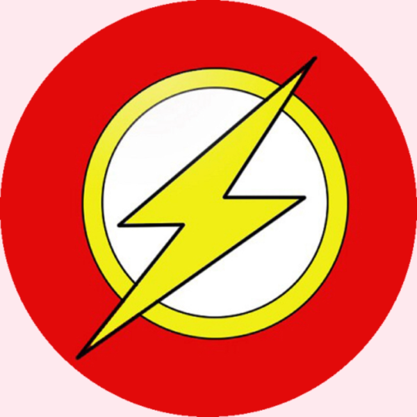 Logo Flash