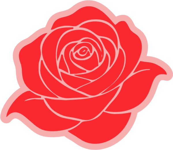 Rosa